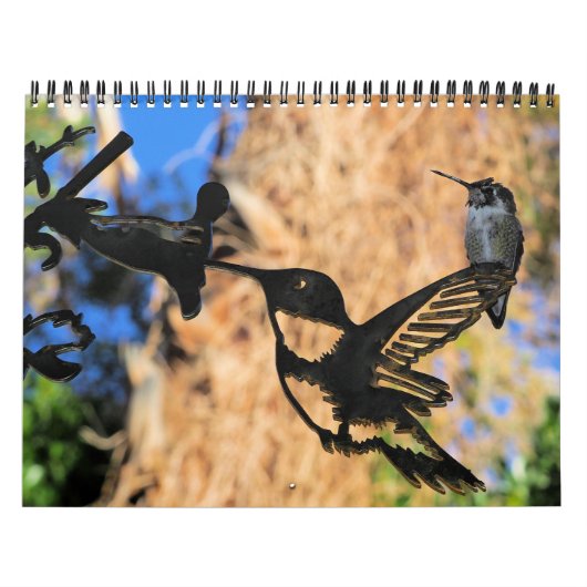 HUMMINGBIRD 2022 Agenda Kalender (Hoes)