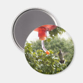 Hummingbird 2, Magnet (Voorkant / Achterkant)