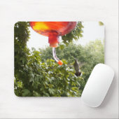 Hummingbird 2, Mousepad Muismat (Met muis)