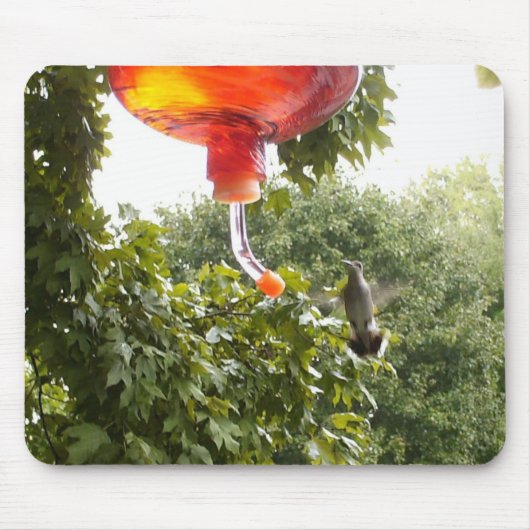 Hummingbird 2, Mousepad Muismat (Voorkant)