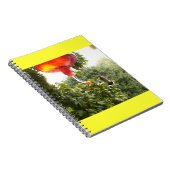 Hummingbird 2 Notitieboek (Rechterzijde)