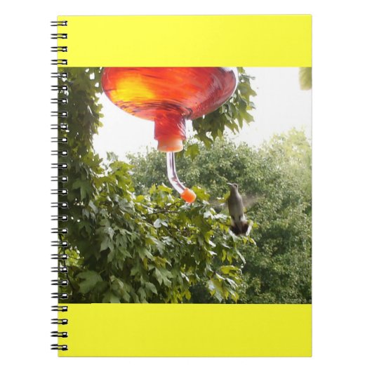Hummingbird 2 Notitieboek (Voorkant)
