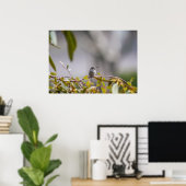 Hummingbird 3346 Poster (Thuiskantoor)
