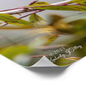 Hummingbird 3346 Poster (Hoek)