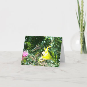 Hummingbird 5 kaart