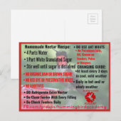 Hummingbird Academy Information Post Card Briefkaart (Voorkant / Achterkant)