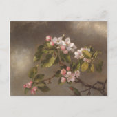 Hummingbird and Apple Blossom Briefkaart (Voorkant)