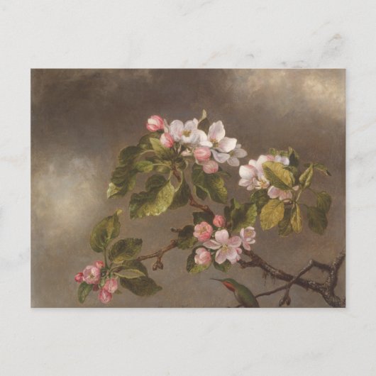 Hummingbird and Apple Blossom Briefkaart (Voorkant)