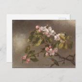Hummingbird and Apple Blossom Briefkaart (Voorkant / Achterkant)