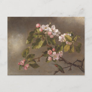 Hummingbird and Apple Blossom Briefkaart