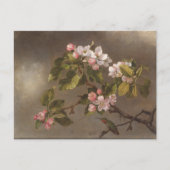 Hummingbird and Apple Blossom Briefkaart (Voorkant)