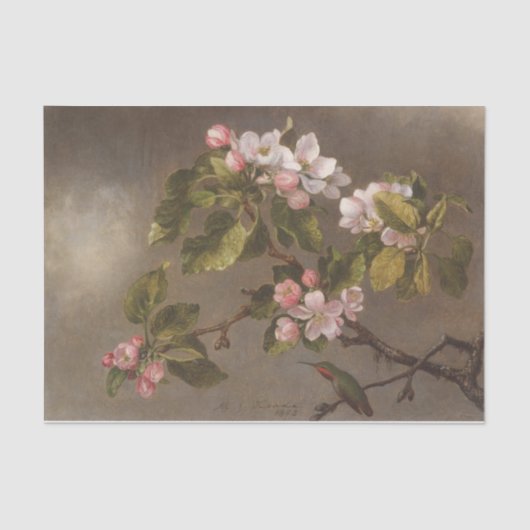 Hummingbird and Apple Blossom by Martin Heade Tissuepapier (Voorkant)