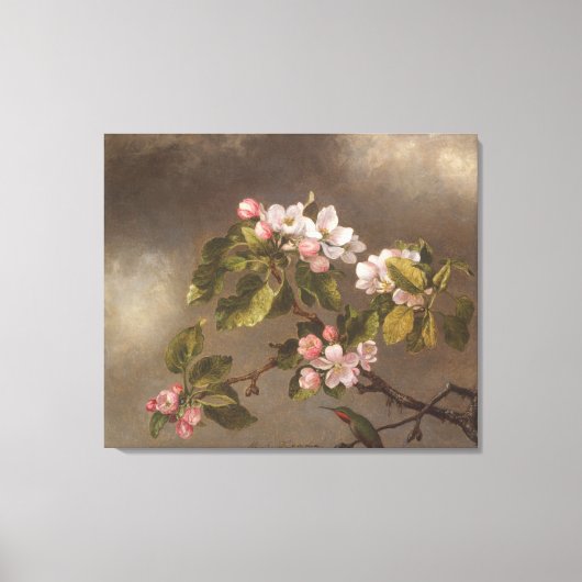 Hummingbird and Apple Blossom Canvas Afdruk (Voorkant)