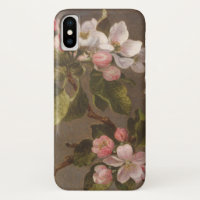 Hummingbird and Apple Blossom