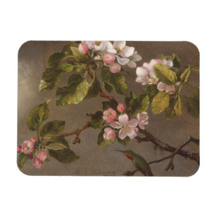 Hummingbird and Apple Blossom Magneet