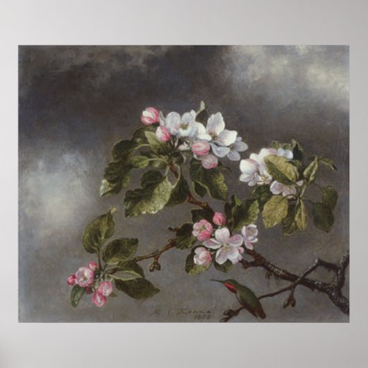 Hummingbird and Apple Blossom Martin J. Heade Poster (Voorkant)