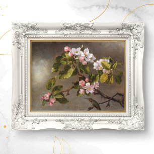 Hummingbird and Apple Blossom Poster