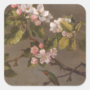 Hummingbird and Apple Blossom Vierkante Sticker