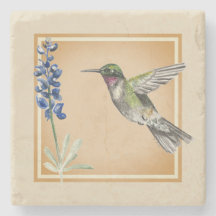 Hummingbird and Bluebonnet on Neutral Background