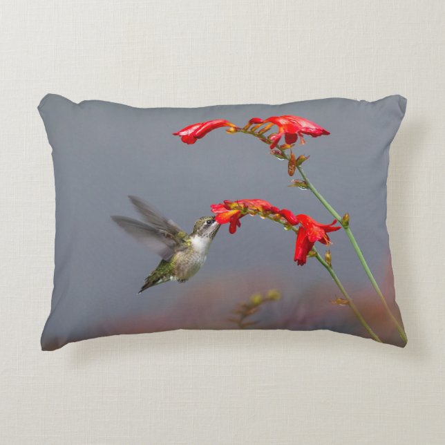 Hummingbird and Crocosmia Accent Kussen (Voorkant)