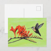 Hummingbird and Crocosmia Painting Briefkaart (Voorkant / Achterkant)