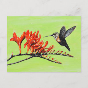 Hummingbird and Crocosmia Painting Briefkaart