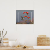 Hummingbird and Crocosmia Poster (Keuken)