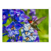 Hummingbird and Delphinium (Voorkant Horizontaal)