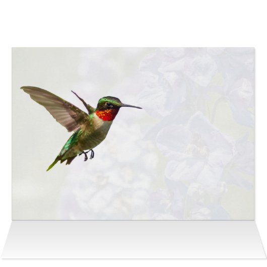 Hummingbird and Delphinium (Binnen Horizontaal (Boven))
