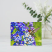 Hummingbird and Delphinium Briefkaart (Staand voorkant)