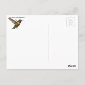 Hummingbird and Delphinium Briefkaart (Achterkant)