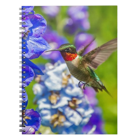 Hummingbird and Delphinium Notitieboek (Voorkant)