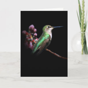 Hummingbird and Flower Denking about You Kaart