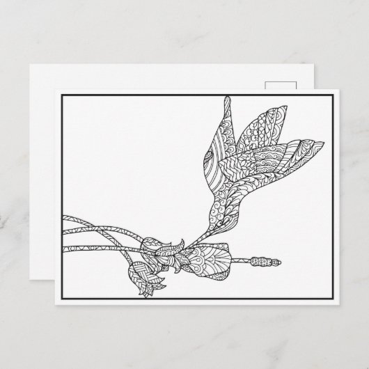 Hummingbird and Flower Design Briefkaart (Voorkant / Achterkant)