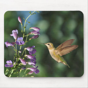 Hummingbird and Flower Muismat