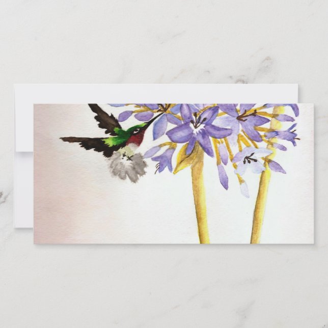 Hummingbird and Flowers (Voorkant)