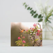 Hummingbird and Flowers Briefkaart (Staand voorkant)