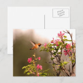 Hummingbird and Flowers Briefkaart (Voorkant / Achterkant)