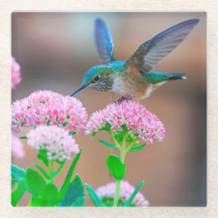 Hummingbird and Flowers Glazen Onderzetter