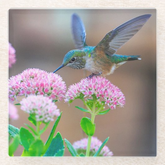 Hummingbird and Flowers Glazen Onderzetter (Voorkant)