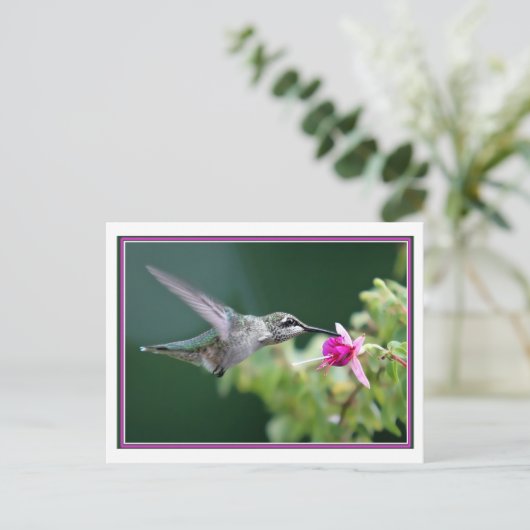Hummingbird and Fuchsia Briefkaart (Staand voorkant)