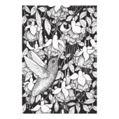 Hummingbird and fuchsia foto afdruk (Voorkant)