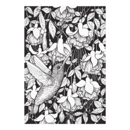 Hummingbird and fuchsia foto afdruk