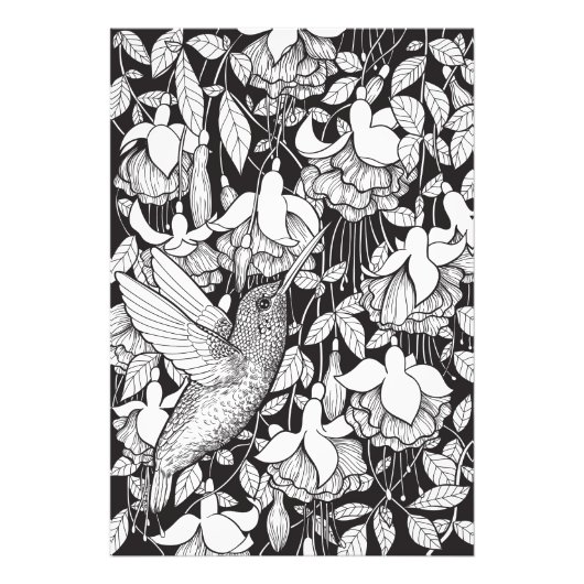 Hummingbird and fuchsia foto afdruk (Voorkant)