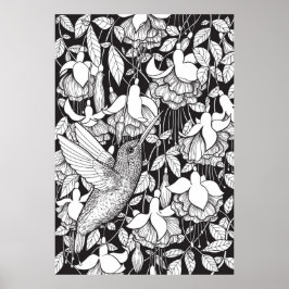 Hummingbird and fuchsia poster