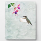 Hummingbird and Fuschia Fotoplaat (Voorkant)