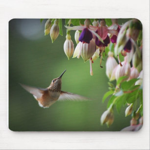 Hummingbird and Fushia Flower Plant Mousepad Muismat