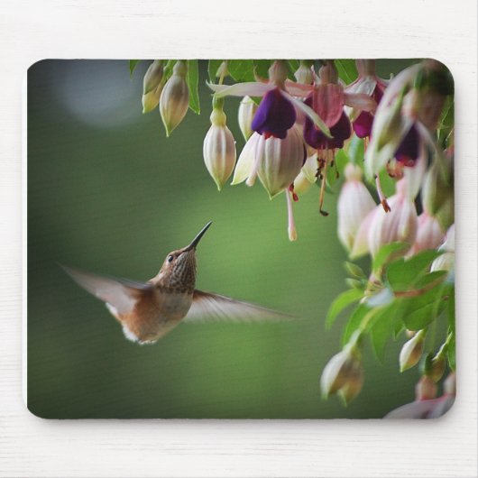 Hummingbird and Fushia Flower Plant Mousepad Muismat (Voorkant)