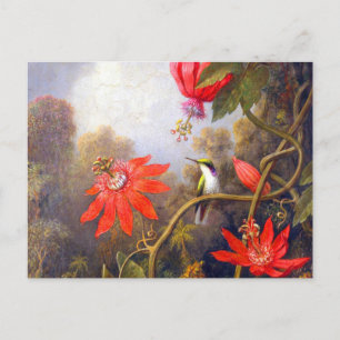 Hummingbird and Passiflora by Martin Johnson Heade Briefkaart