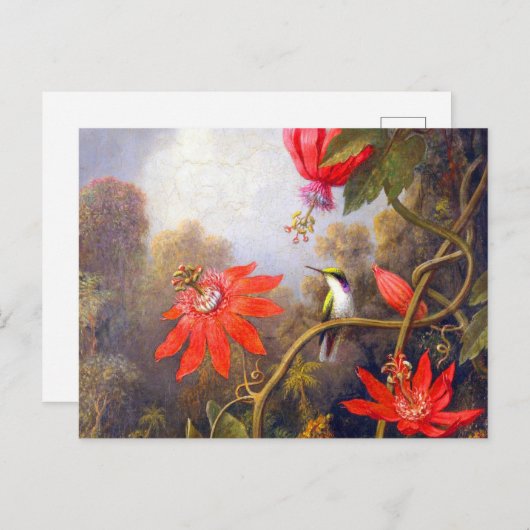 Hummingbird and Passiflora by Martin Johnson Heade Briefkaart (Voorkant / Achterkant)